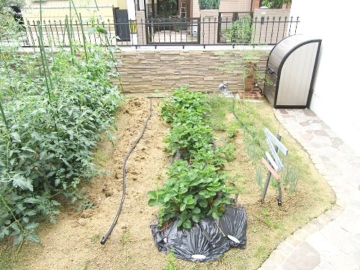   熱い夏も快適な野菜作りを♪家庭菜園に自動潅水リフォーム　羽曳野市　Ｋ様